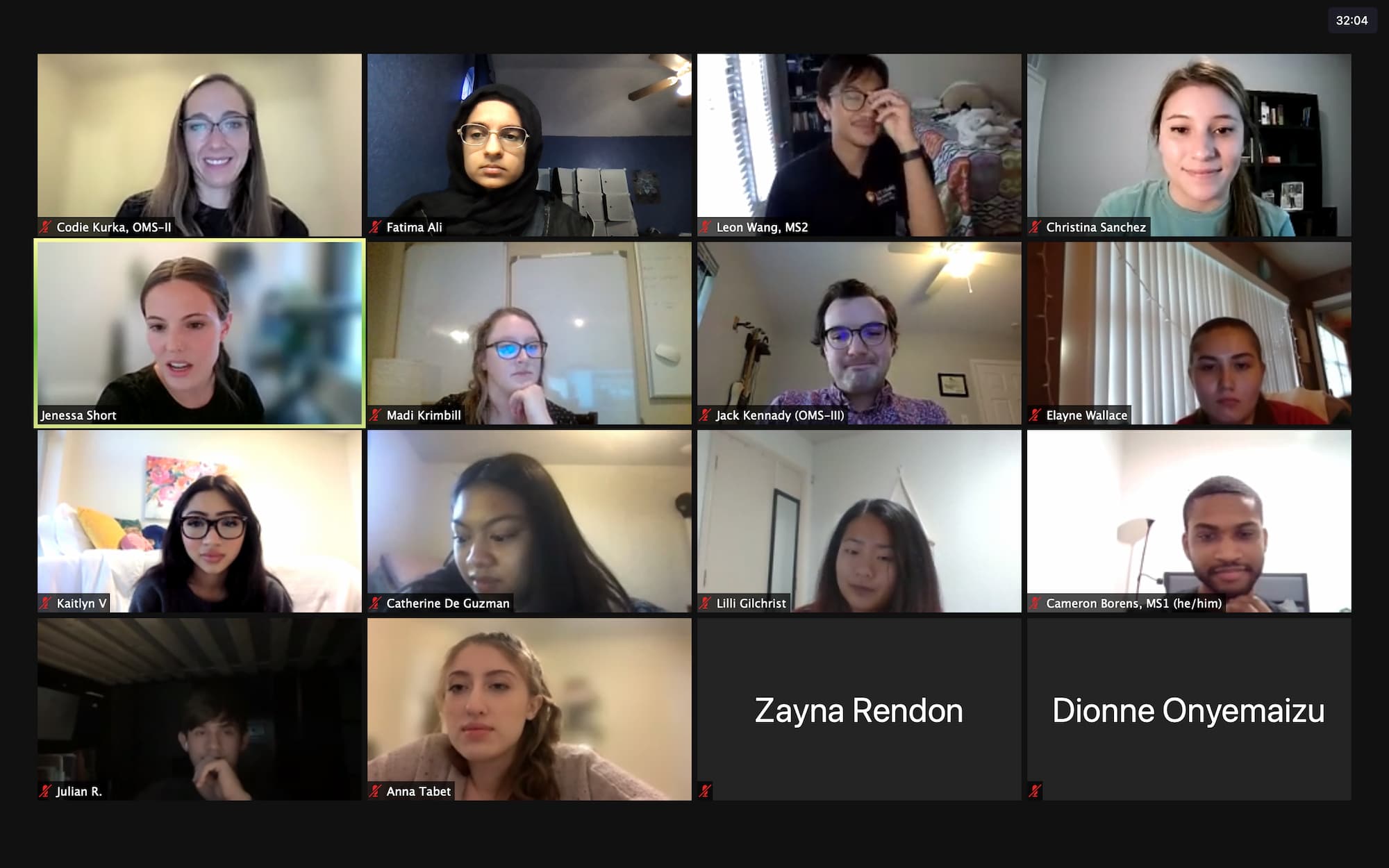 Mentorship Session on Zoom with Students and Mentors